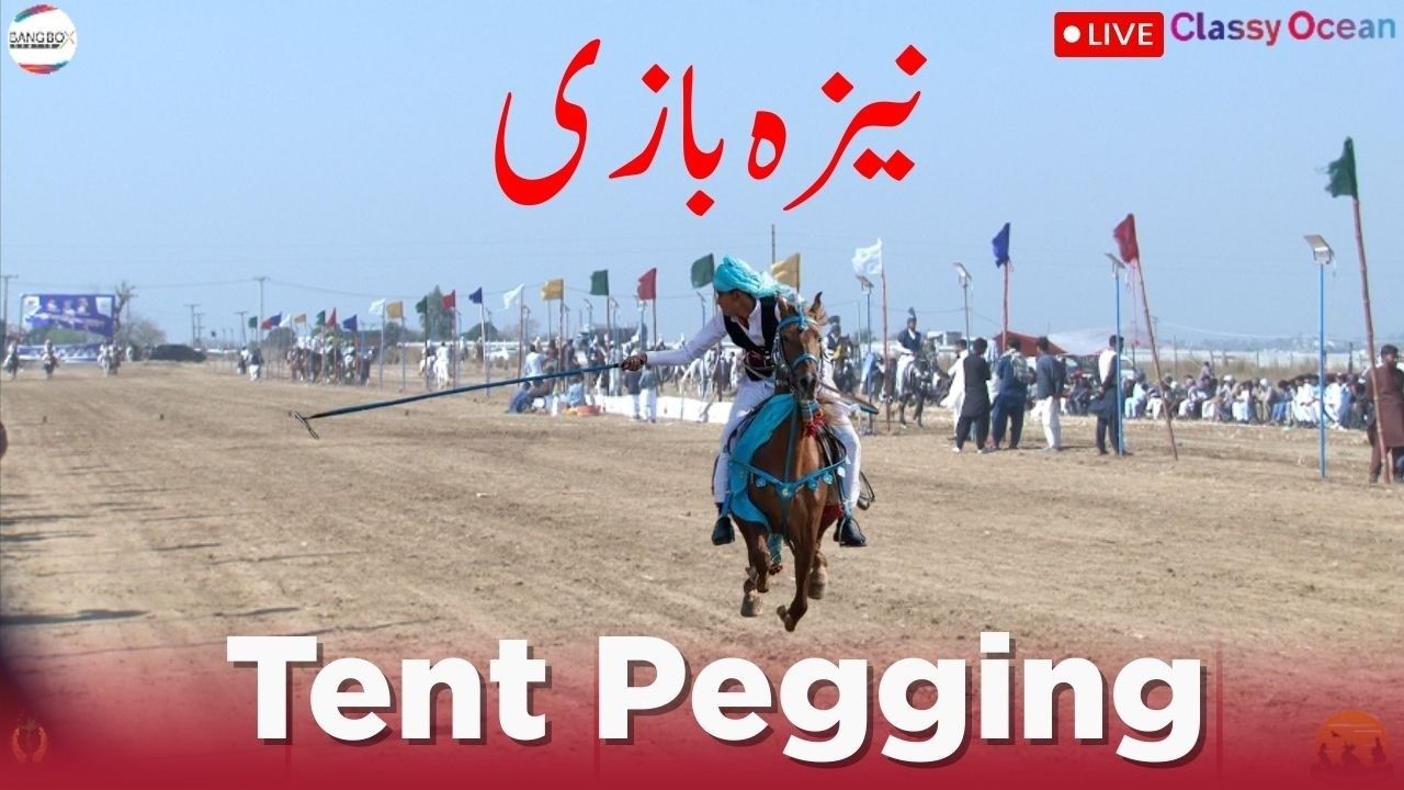 Gallop to Glory &ndash; Tent Pegging Live on Bang Box Sports