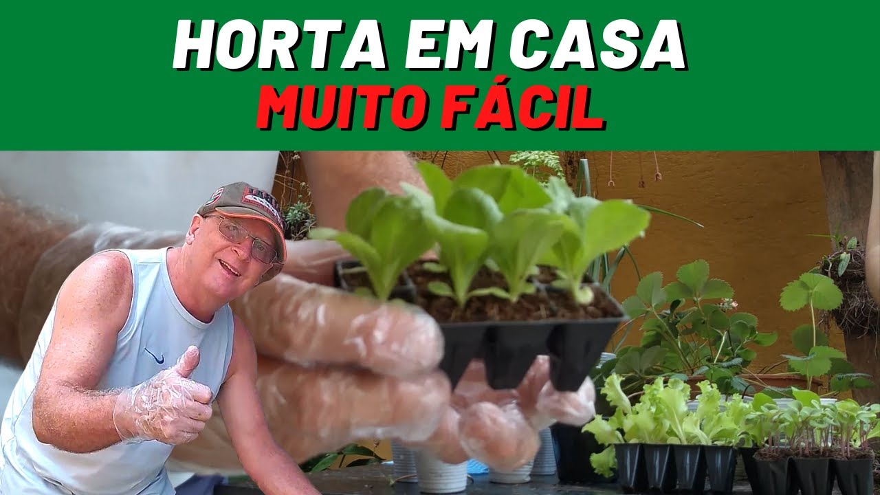 Como fazer uma horta em casa ou apartamento  | Mini horta