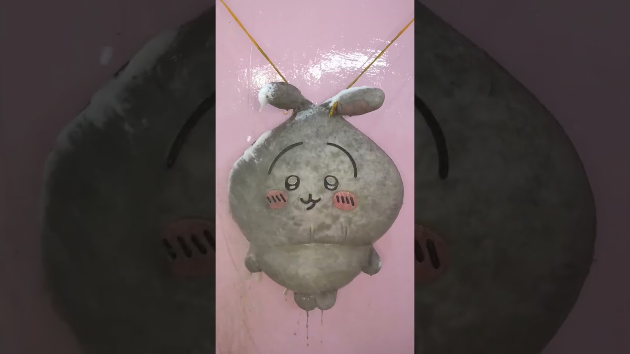 Give King Usagi a bath.#chiikawa #usagi #cool #cute #plush #toys #gift