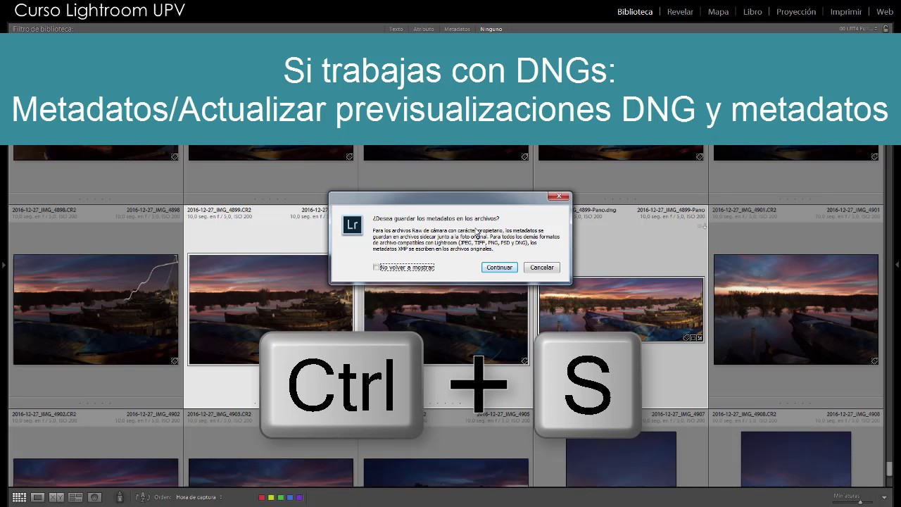 Ajustes de Catálogo y Preferencias en Lightroom