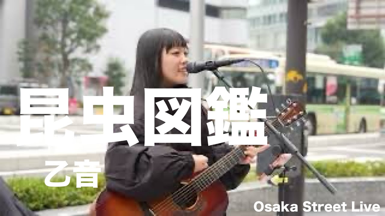 昆虫図鑑 - 乙音