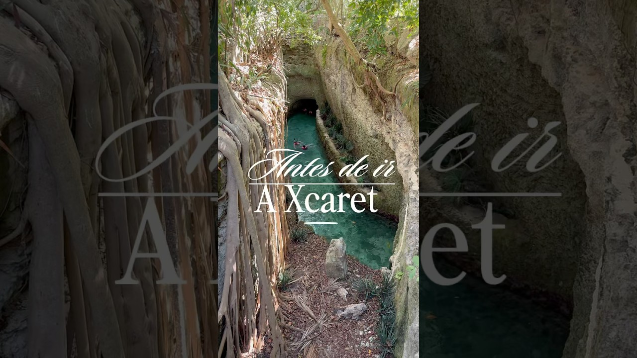 14 COSAS QUE DEBES SABER ANTES DE IR A XCARET. #playadelcarmen #cancun #xcaret
