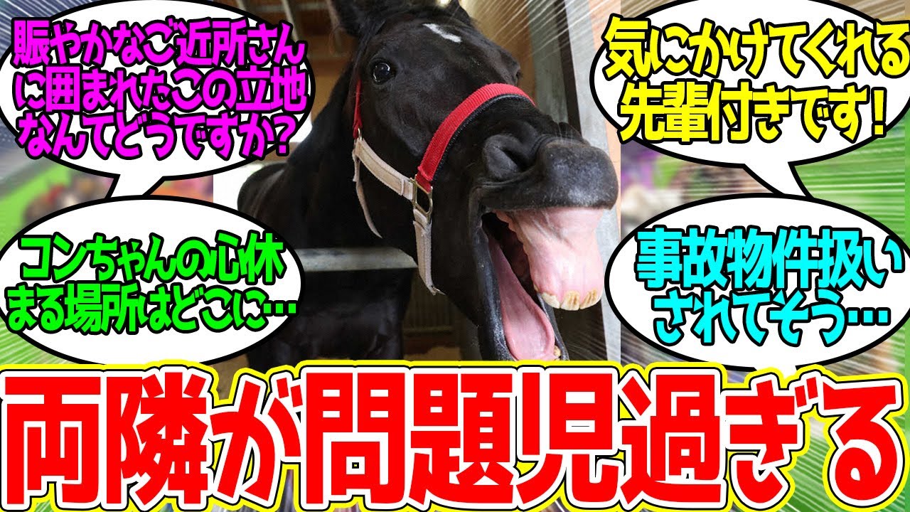 馬房をお探しですか！？に対するみんなの反応！【競馬 の反応集】