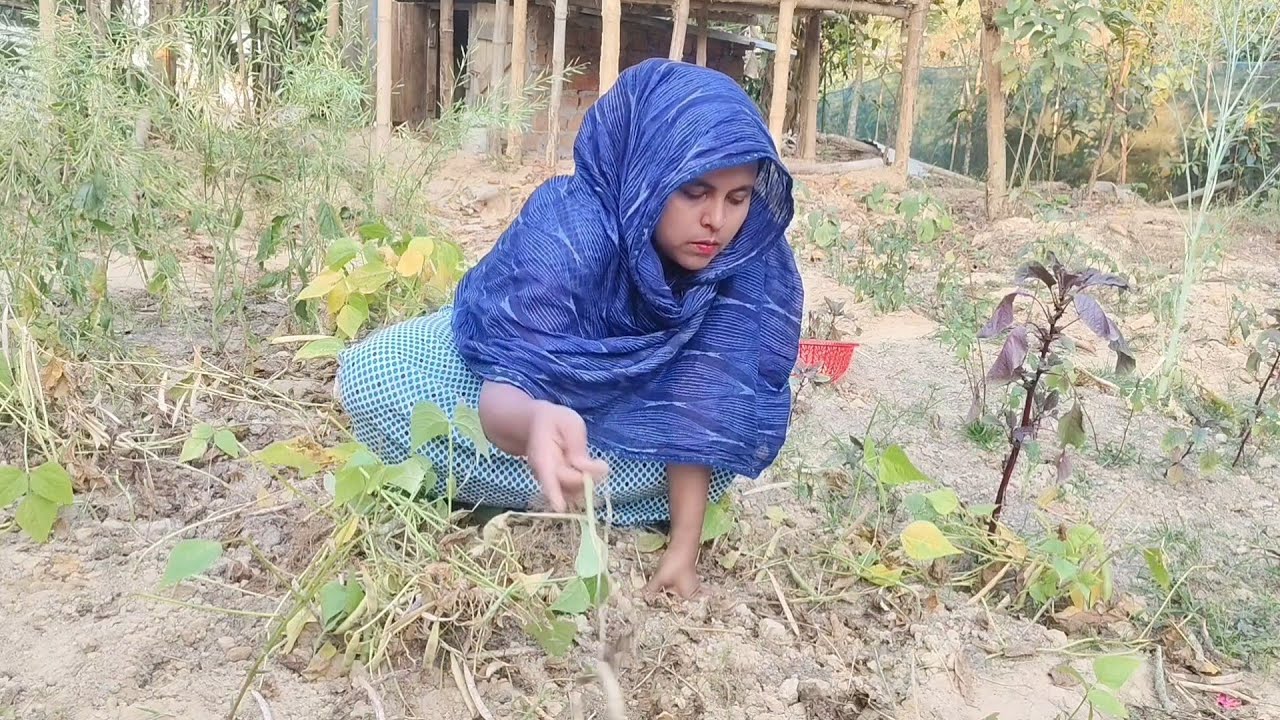 আমি ক্লান্ত/কেউ হাত ধোয়ে আমার পেছনে পড়ে গেছে/আমার কলিজায় হাত দিয়ে দিছে//Shuk Dukher Songshar 