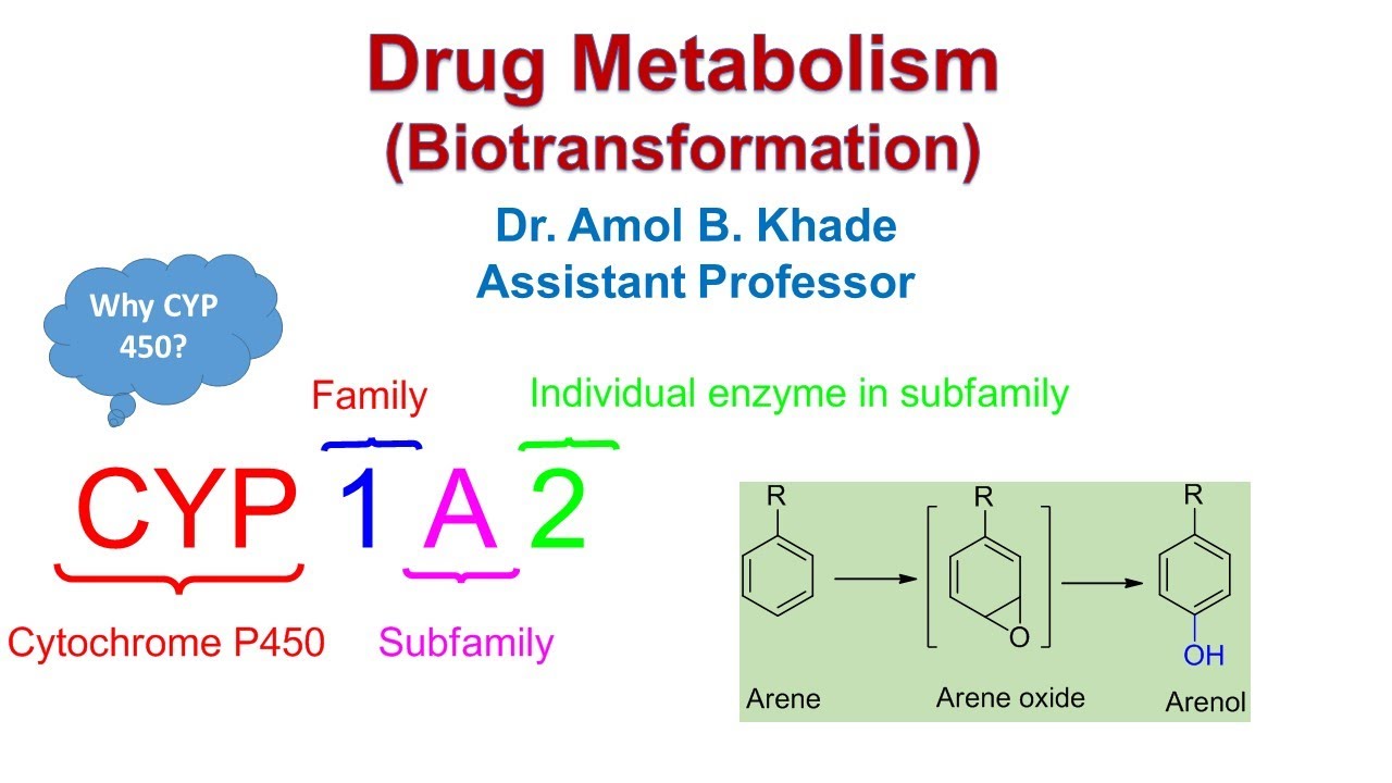 Drug Metabolism Part 2