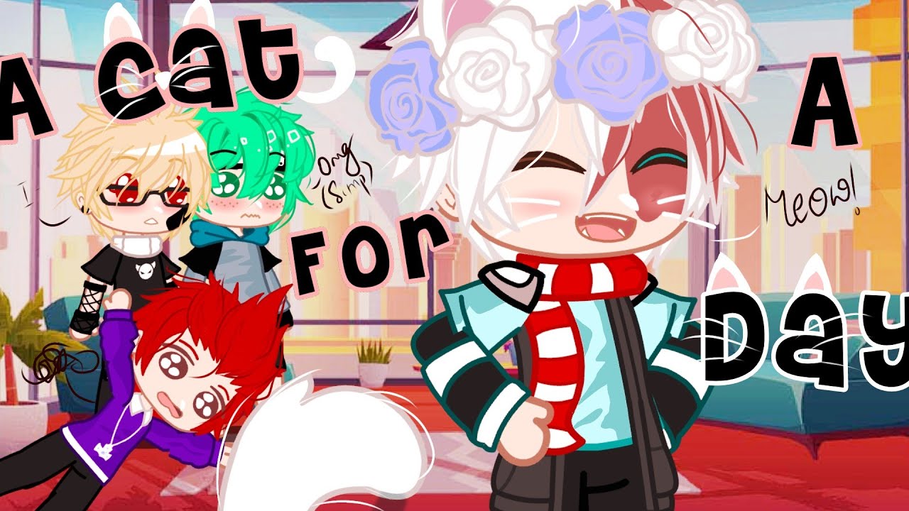 If Todoroki❤🤍 becomes a CAT🐱 for 24 hours🐱💕😙