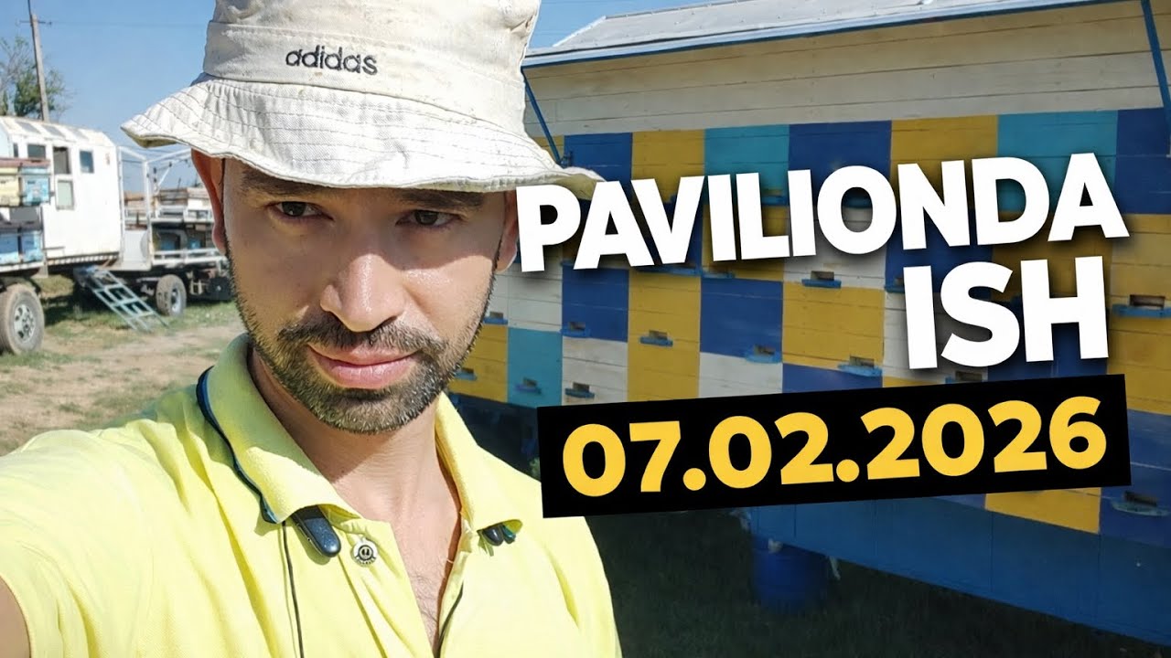 07.02.2026 Иккинчи қисм