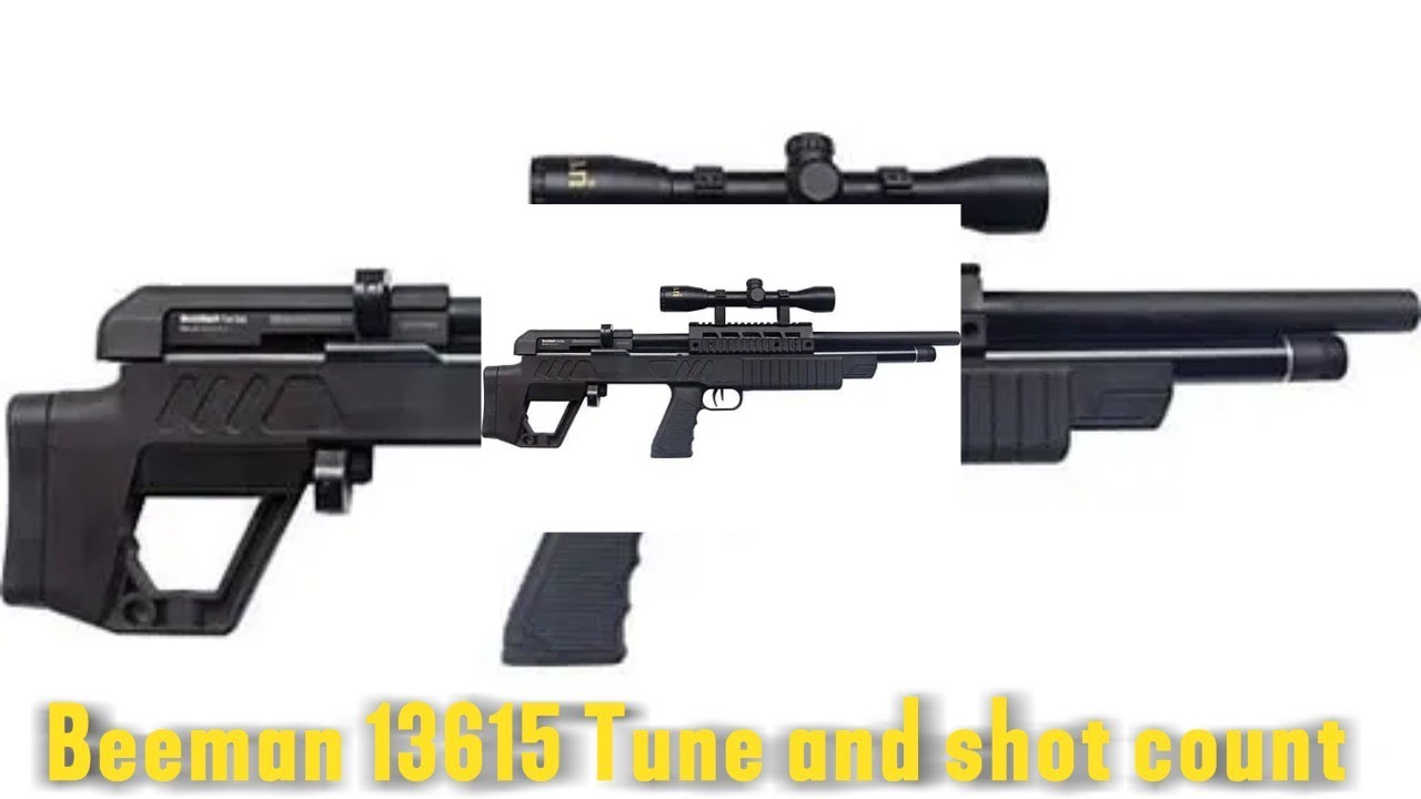 Beeman 13615 Tuned for High shot count
