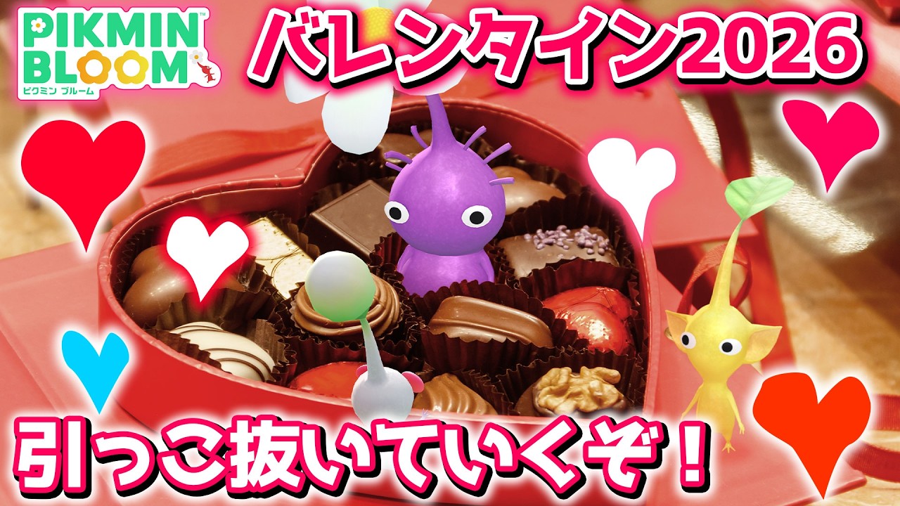 【ピクミンブルーム】バレンタイン2026、引っこ抜いていくぞ！【Pikmin Bloom】