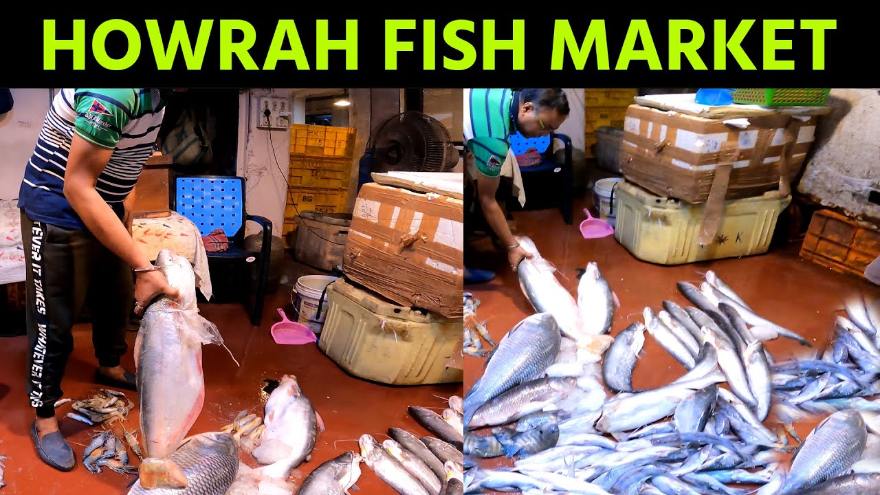 Howrah fish Market || Ramble Manish ||