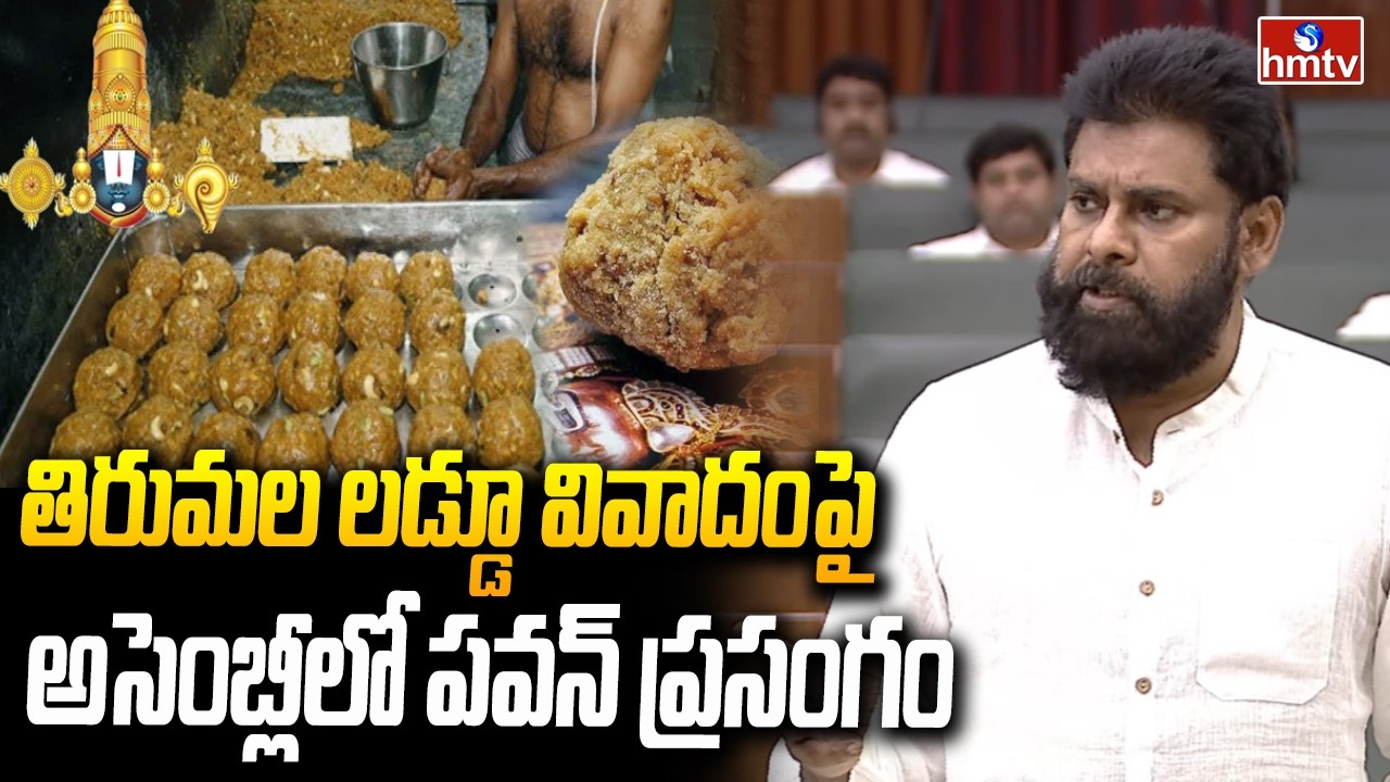 తిరుమల లడ్డూ వివాదంపై అసెంబ్లీలో పవన్ ప్రసంగం | Dy.CM PawanKalyan About TTD Laddu Issue | hmtv