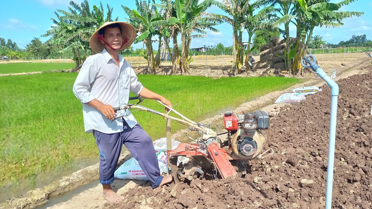 Lâu Lắm Mới Gặp Lại Ông Chú Có Máy Xới Yanmar L40 Cày Siêu Nhanh//mừng gò công  vlog