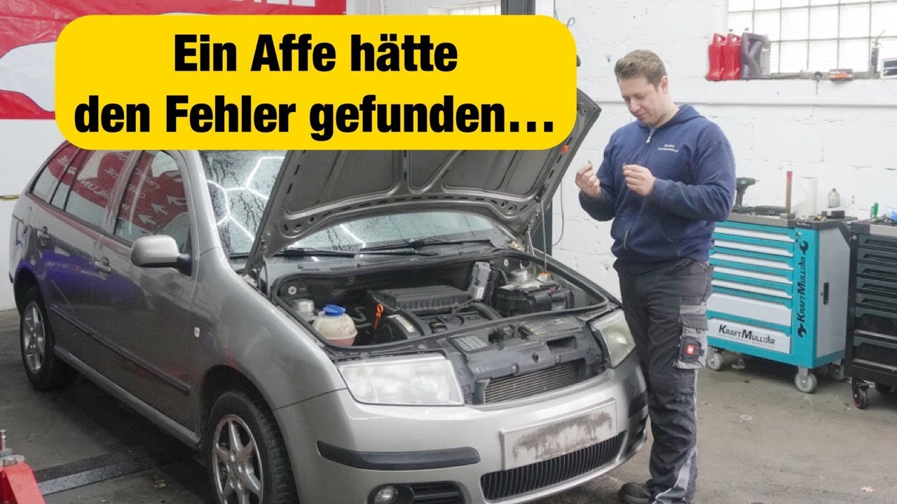 Werkstatt sagt Totalschaden! ( Ich repariere für 70 Cent) KEIN WITZ!