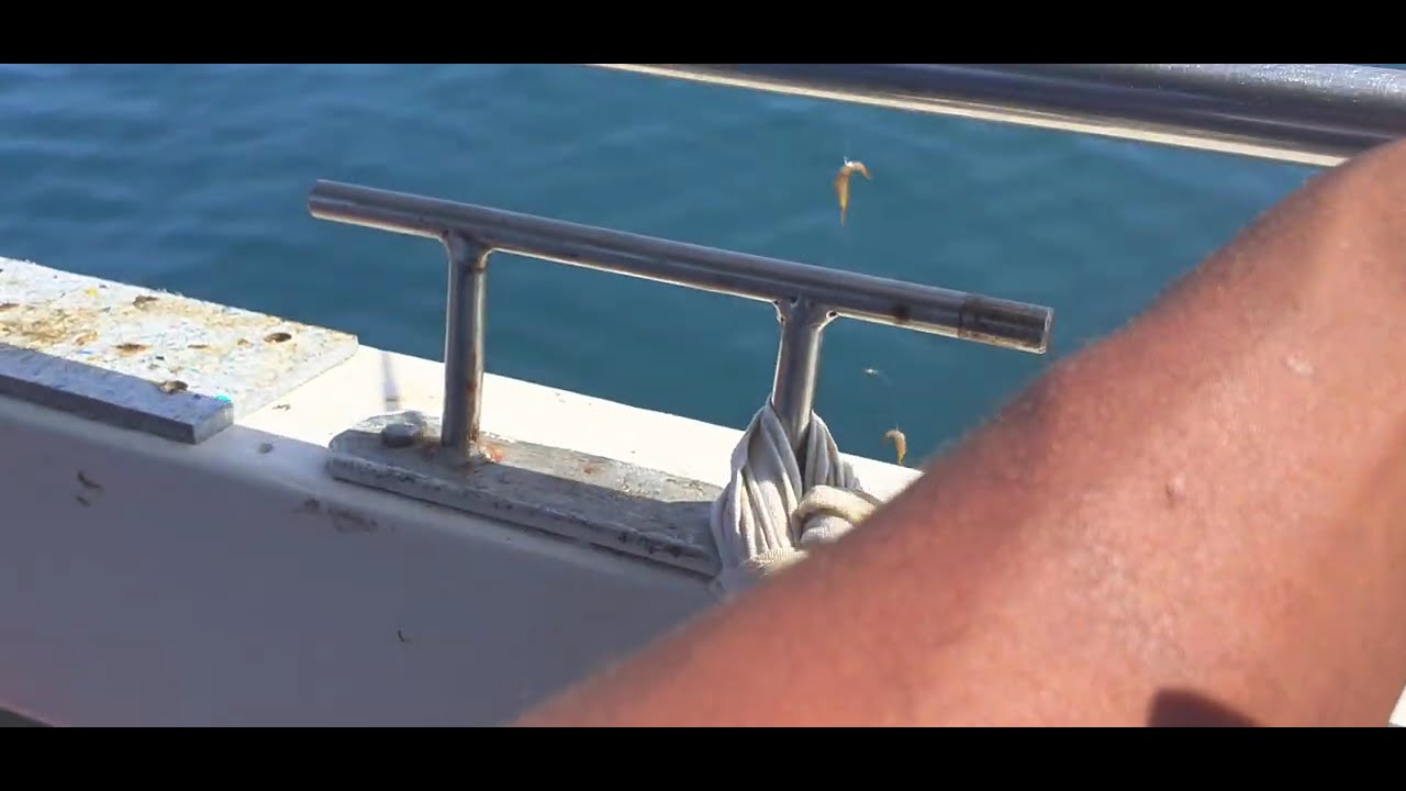 Pesca costeira em Bertioga, parte 15