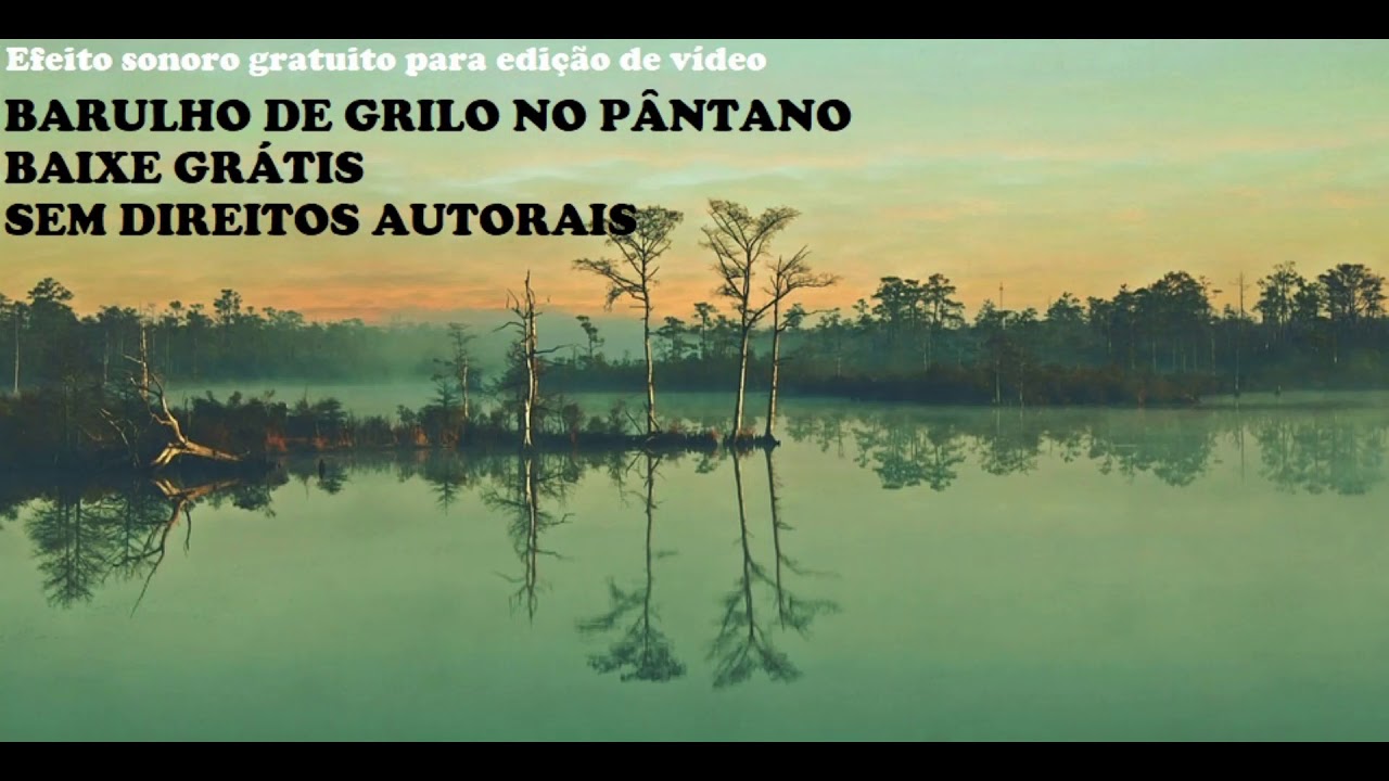 🌳 Som de grilos no p&acirc;ntano - efeito sonoro gratuito para edi&ccedil;&atilde;o de v&iacute;deo e youtube