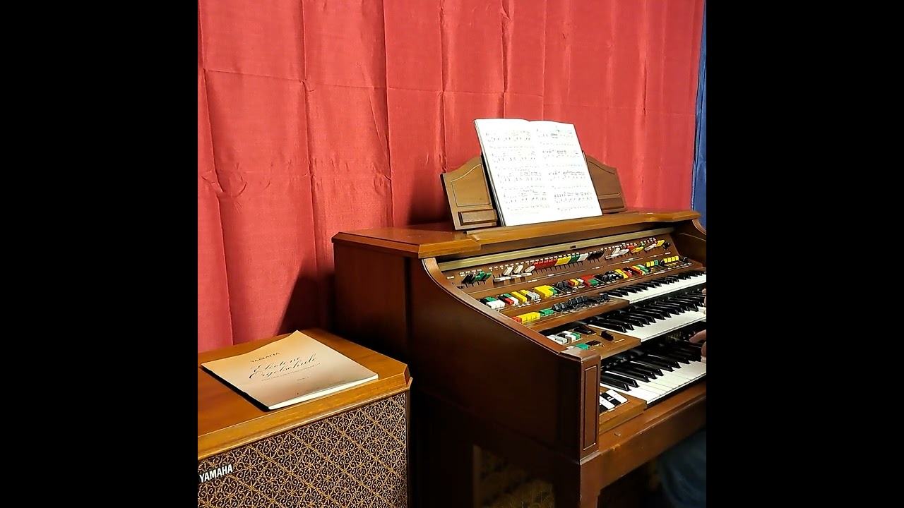 Yamaha Electone D-85/ D-800 