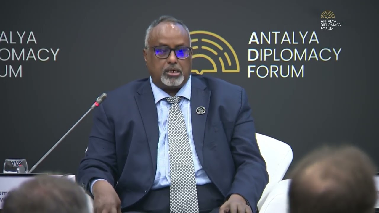 #ADFPanel / Региональная ответственность в медиации: Африканский Рог