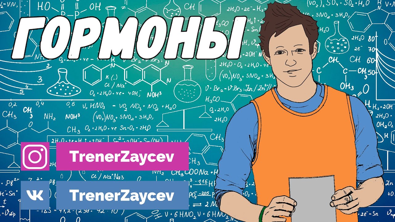 07. Гормоны