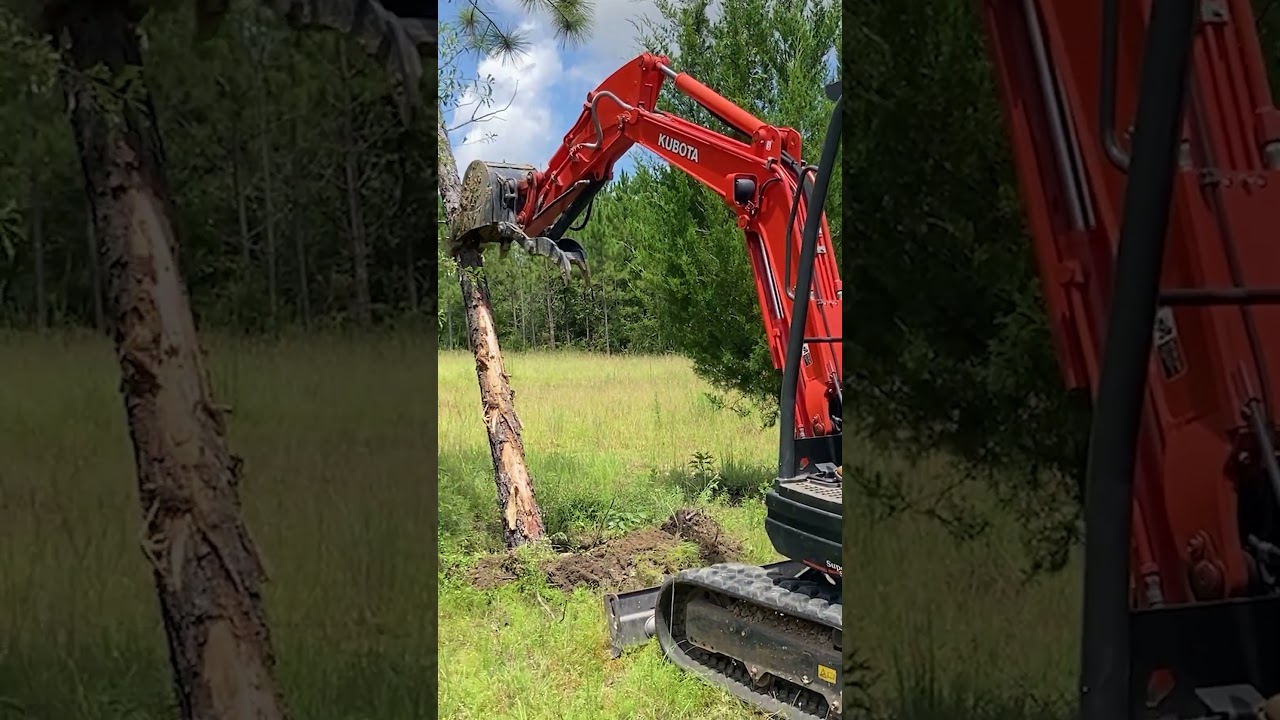 Clearing trees with mini excavator for our new house