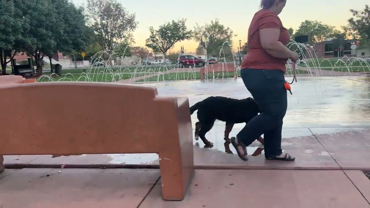- Off Leash k9 Training of Southern Utah Intro
