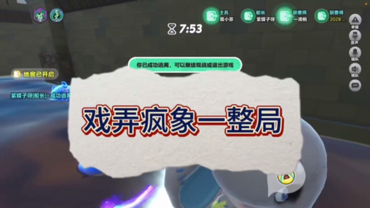 戏弄大象一整局