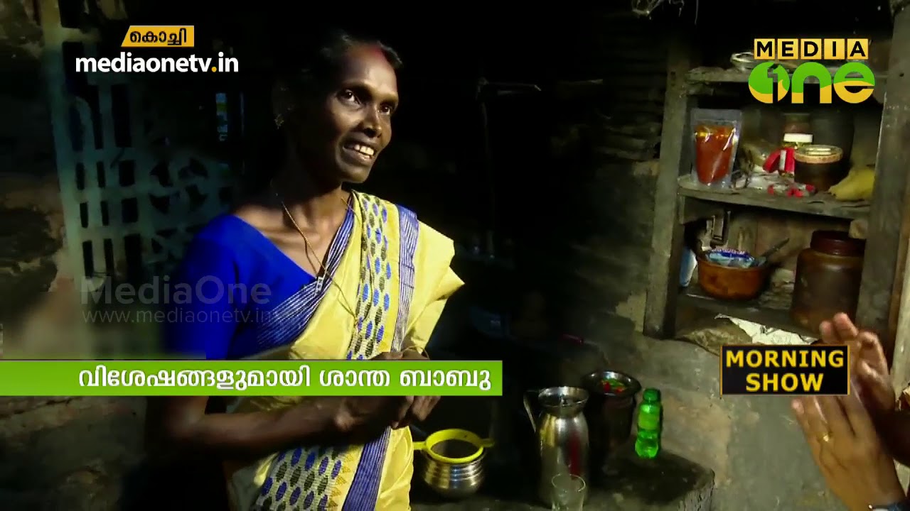 അറിയണം ഈ കലാകാരിയെ| Santha Babu | Morning Guest