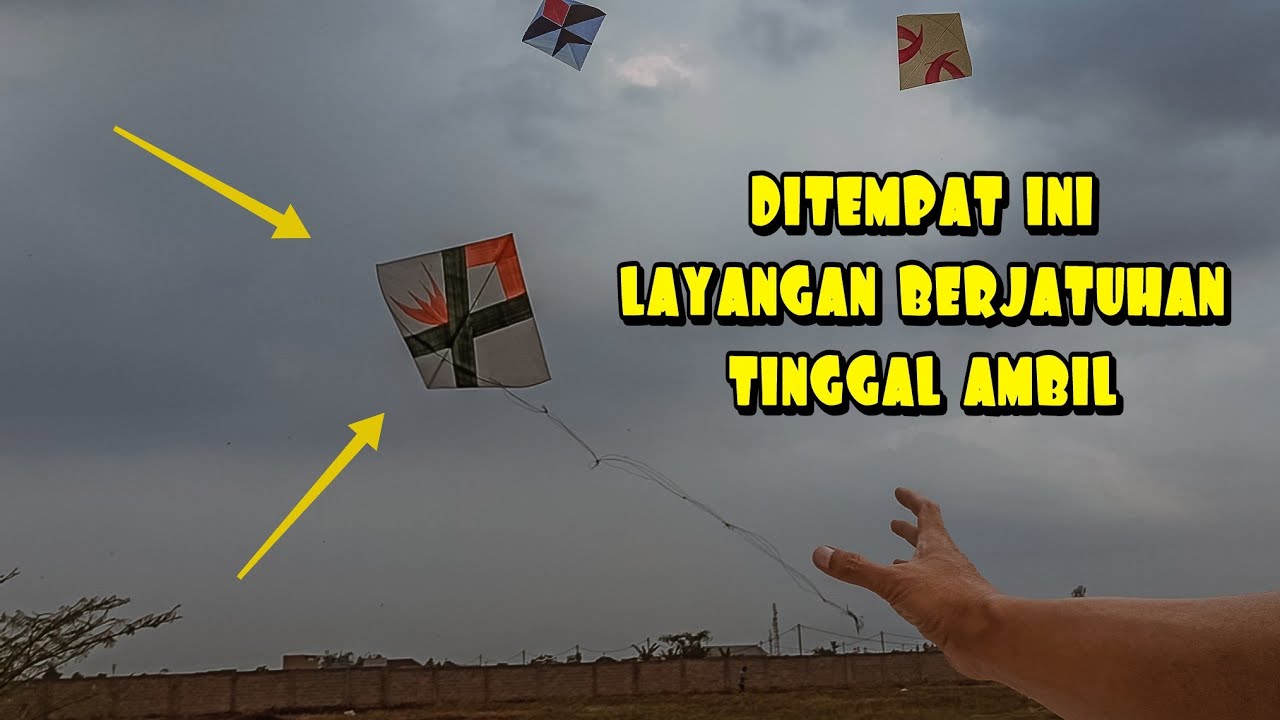 ASLI GUYS!!! Ditempat ini layangan putus berjatuhan tinggal ambil