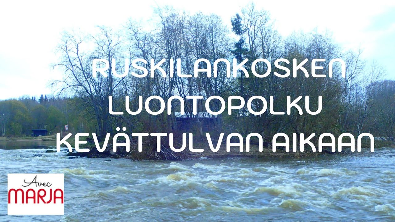 Ruskilankosken luontopolku: kosken kohinaa, jylhiä maisemia ja majavien töitä