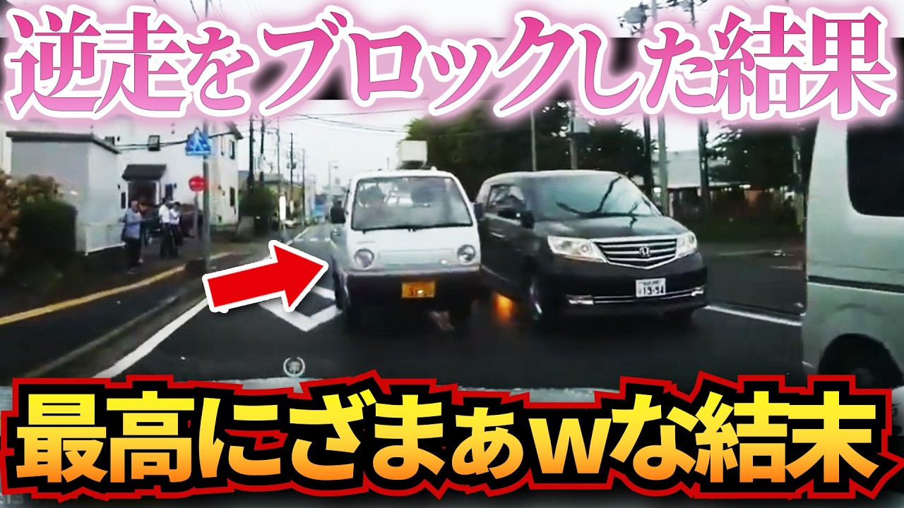 【ドラレコ】逆走の軽トラを完全ブロックした結果がざまぁwすぎる！衝撃ドラレコ映像50連発！迷惑運転まとめ【作業用】【交通安全、危険予知トレーニング】