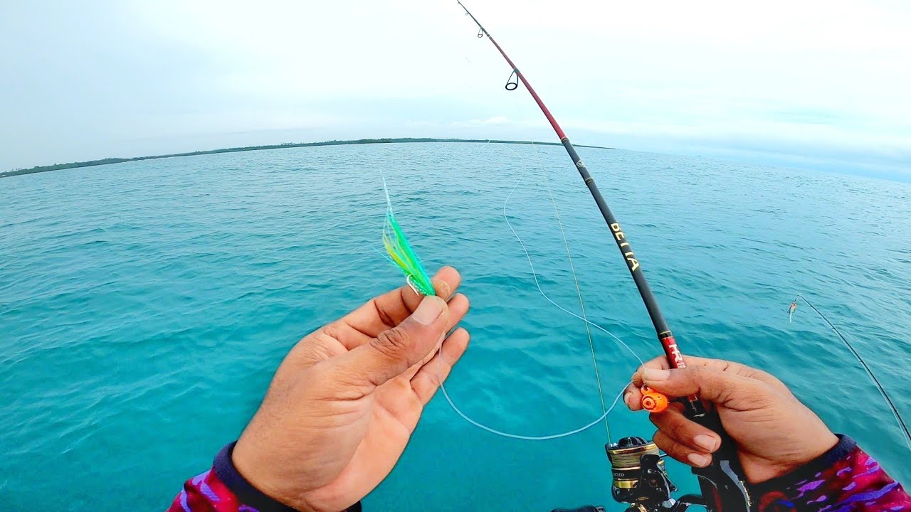 MANCING TEKNIK PENCA !!! IROLY SHEPIA PLUS LANGSUNG AMIS