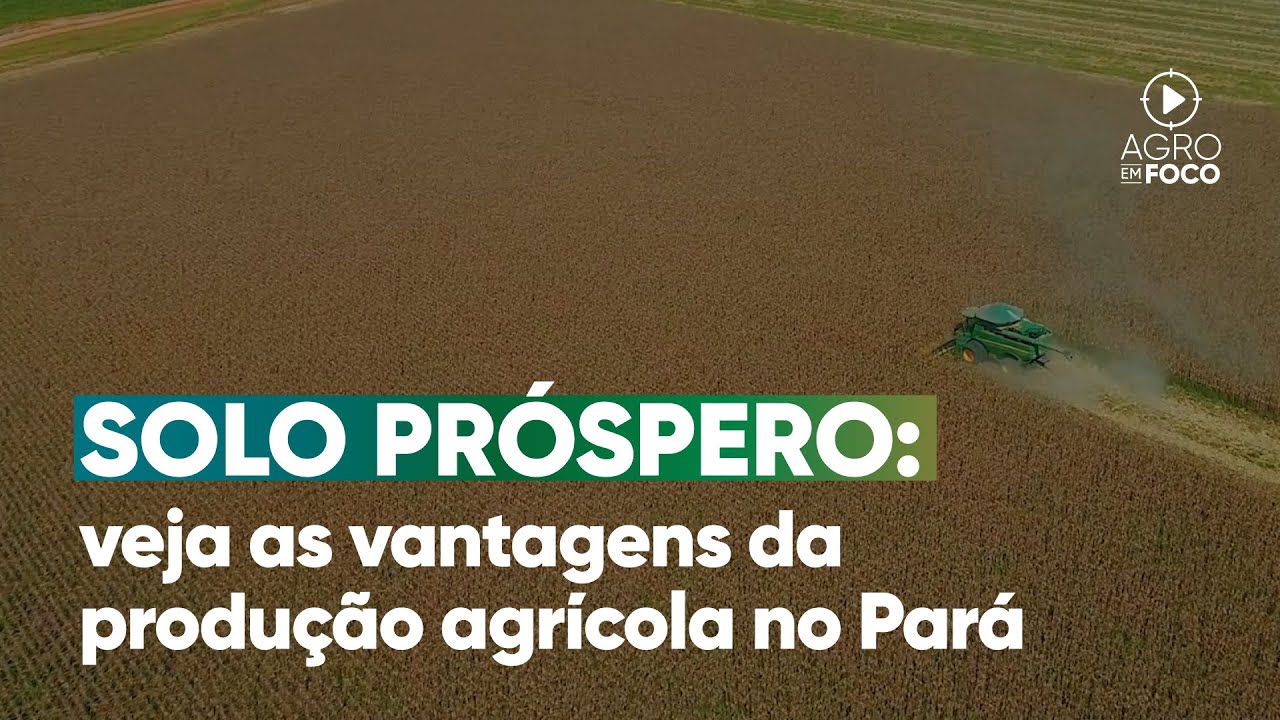 Caso de sucesso com o plantio de grãos em Santarém-PA - Agro Em Foco #109