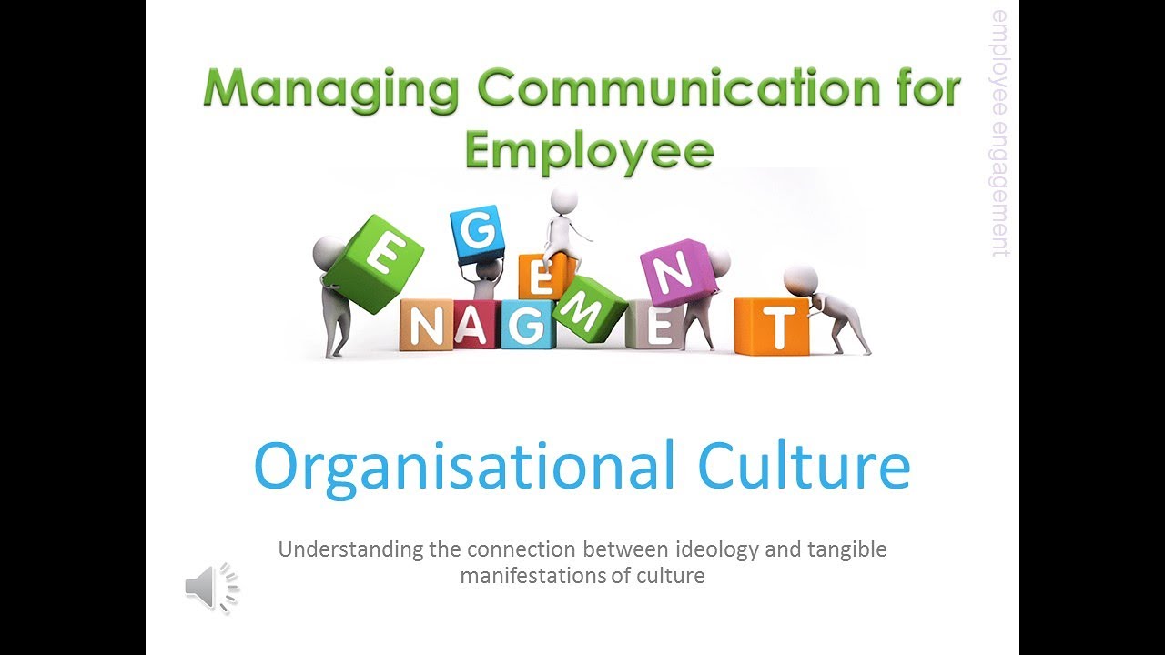 2-1 Organisational Culture Ideology Functions