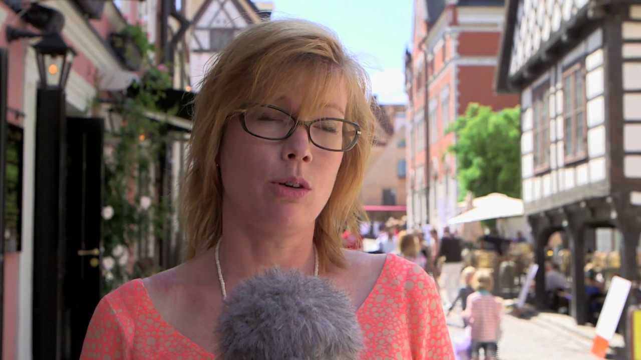 S&Ouml;S i Almedalen - Om v&aring;ldsutsatta kvinnor i v&aring;rden