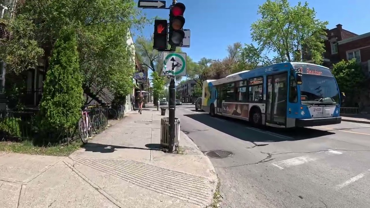 Walk on rue Beaubien in Montreal