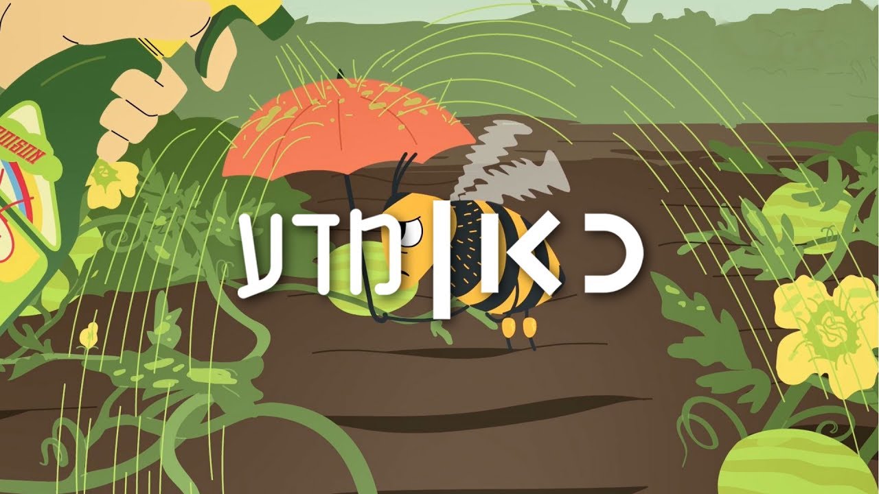 כאן | מדע - מה הורג את הדבורים?