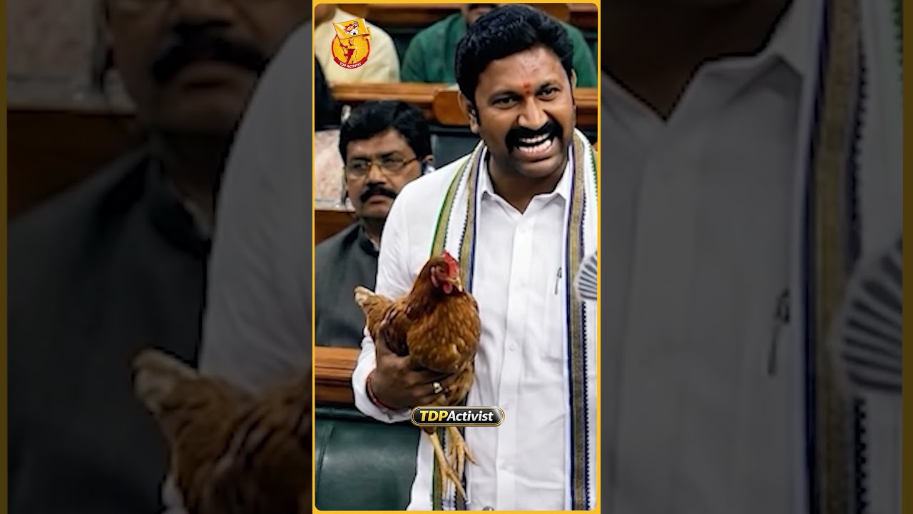 MP Avinash Reddy's question in Lok Sabha, Jagan gets angry! #ysjagan #ysrcp #avinashreddy #loksabha
