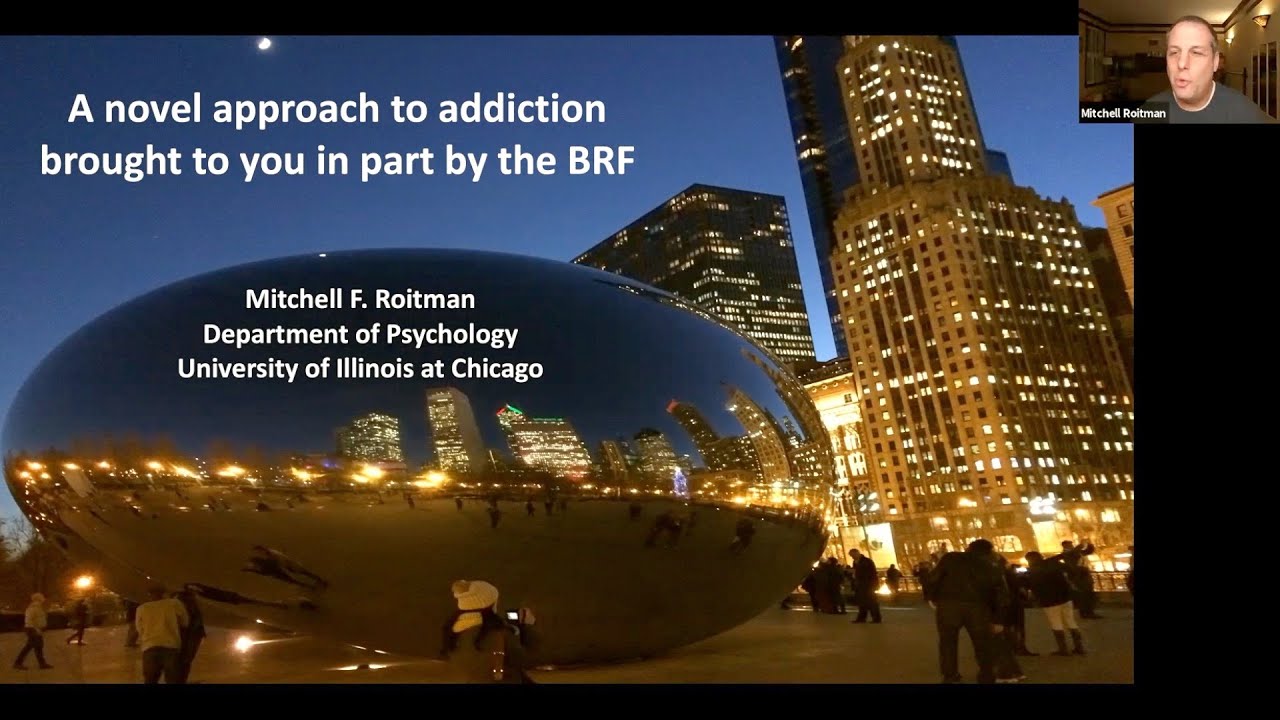 BRF Lecture Series featuring Dr. Mitch Roitman