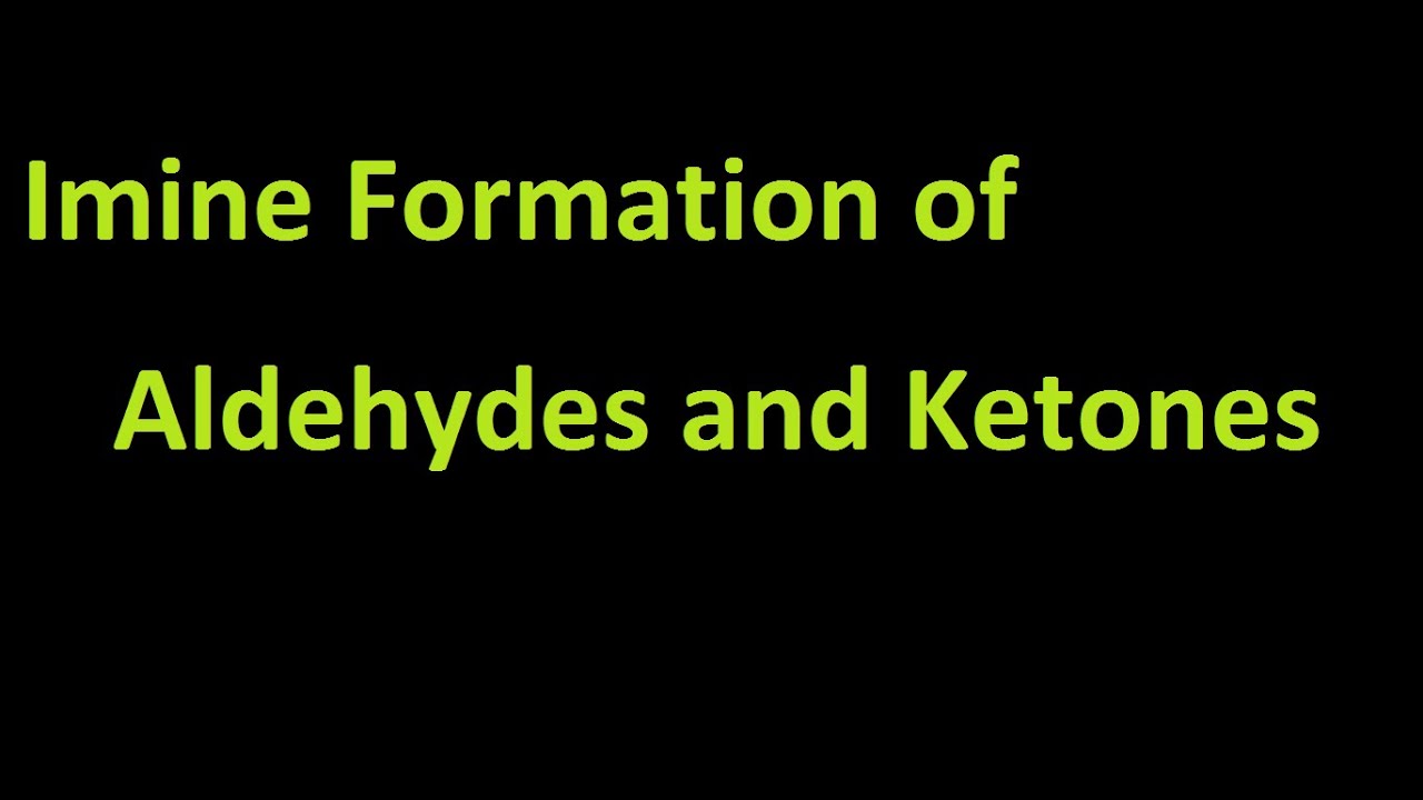 Imine Formation of Aldehydes and Ketones