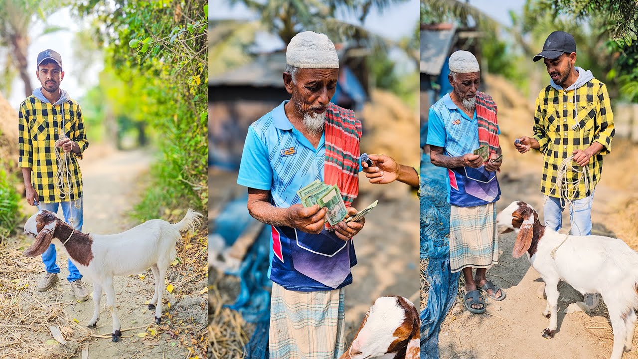 ইসলাম মানে মানবতা || এক হিন্দু পরিবারের জন্য ছাগল উপহার!