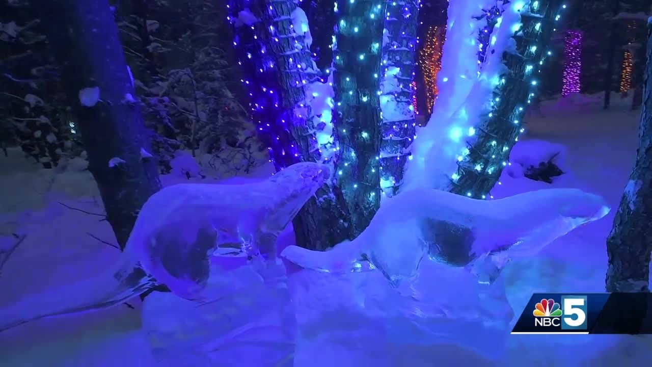 'Wild Lights' returns to New York landmark for 2024-2025 season