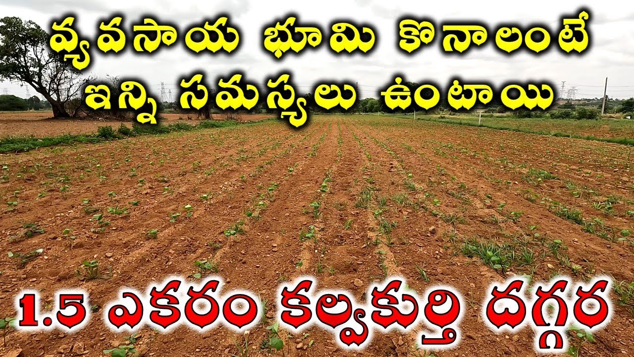 Don't Make These 3 Costly Mistakes When Buying Agriculture Lands for sale in Telangana