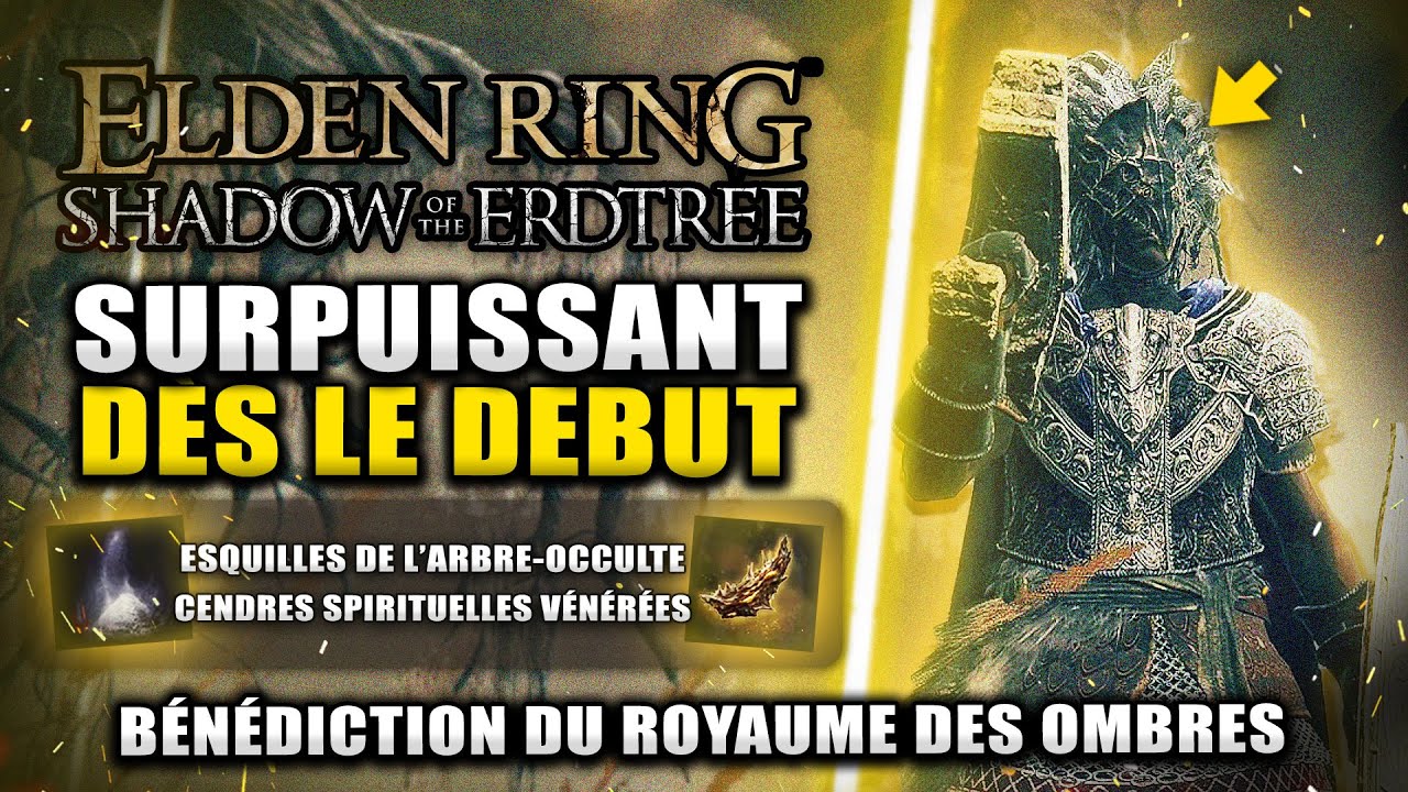 ELDEN RING DLC Shadows of Erdtree - 16 Esquilles & Cendres Spirituelle au D&Eacute;BUT DU DLC (B&eacute;n&eacute;diction)