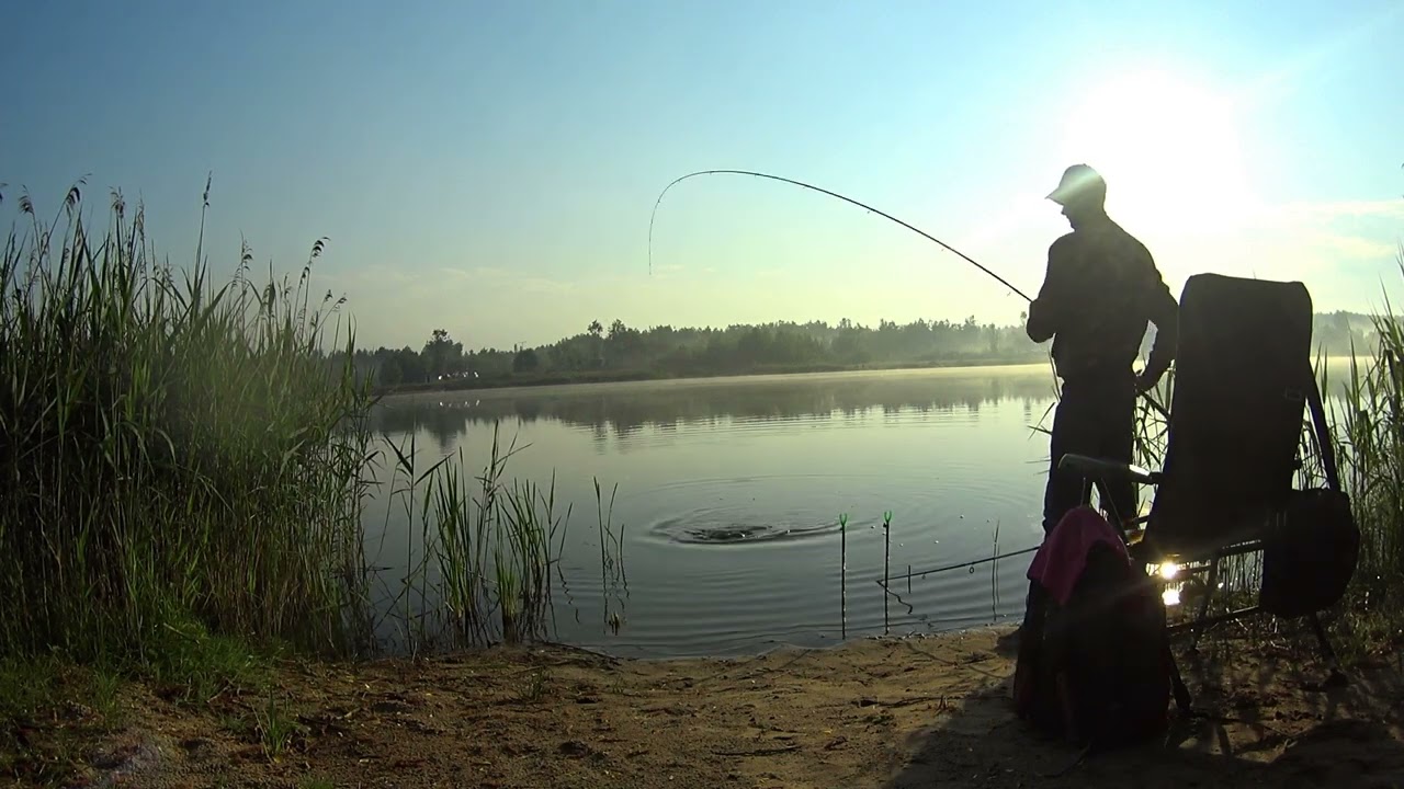 Lipowica 2022 Karp#fishing #nokill #carpfishing #method #feeder #stinger