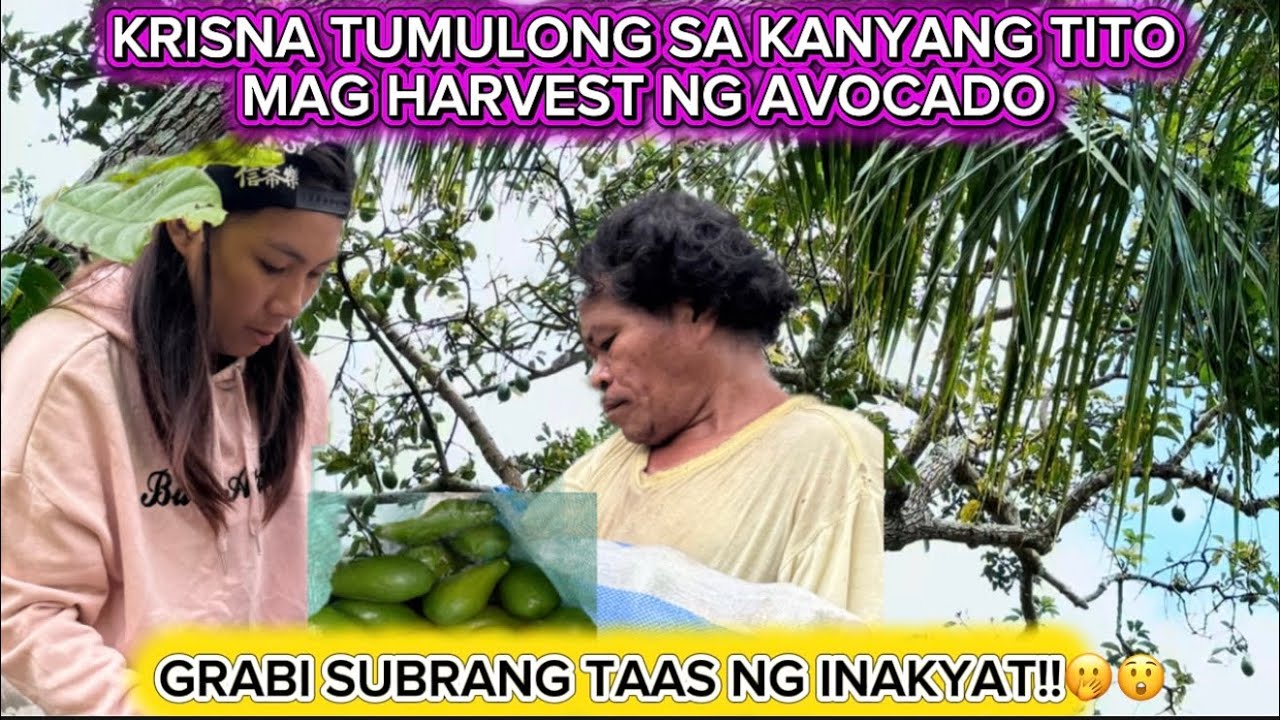 GRABI SUBRANG TAAS NG INAKYAT🫢#pekengkoreana #pbteam #vlog #pugongbyahero 