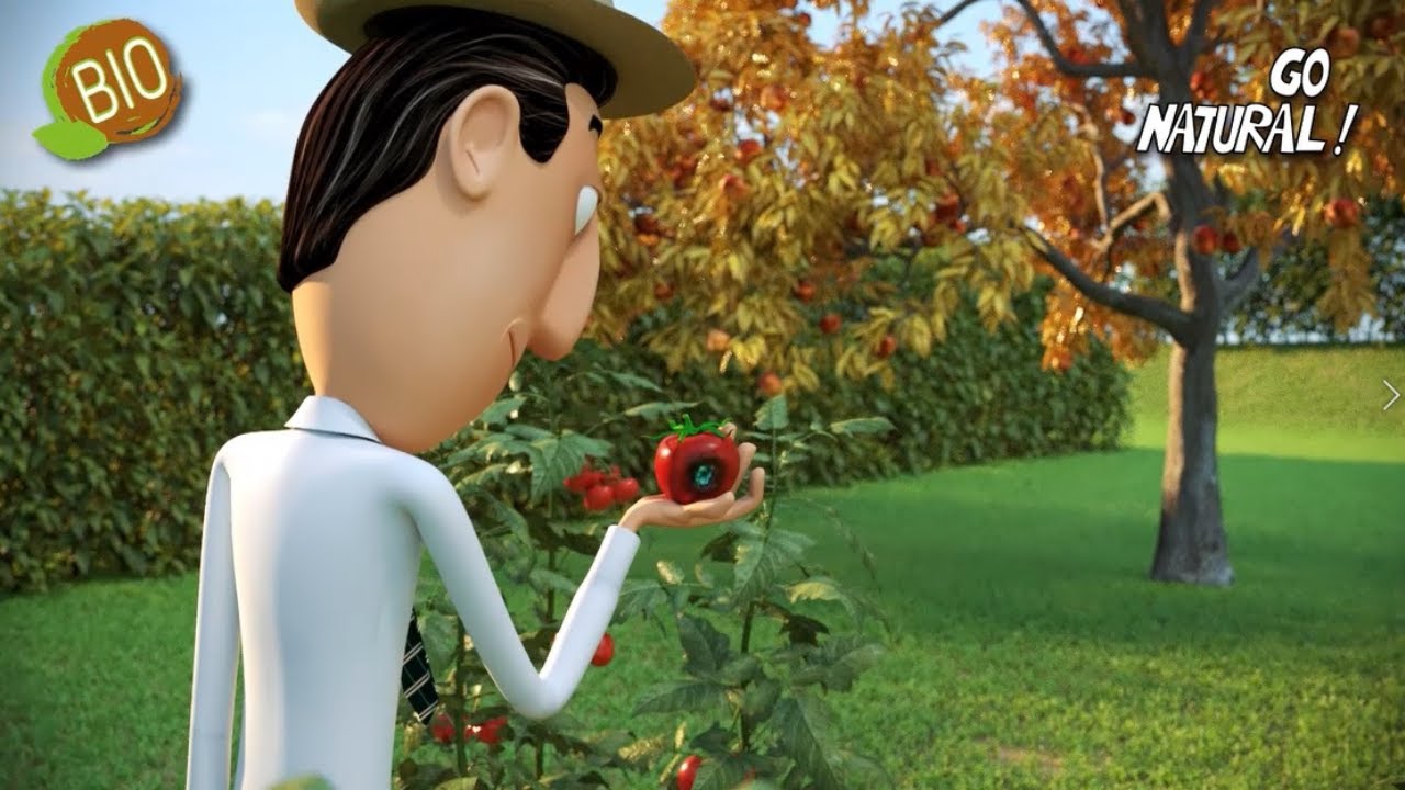 Go Natural! Lecitina BIO Zapi Garden