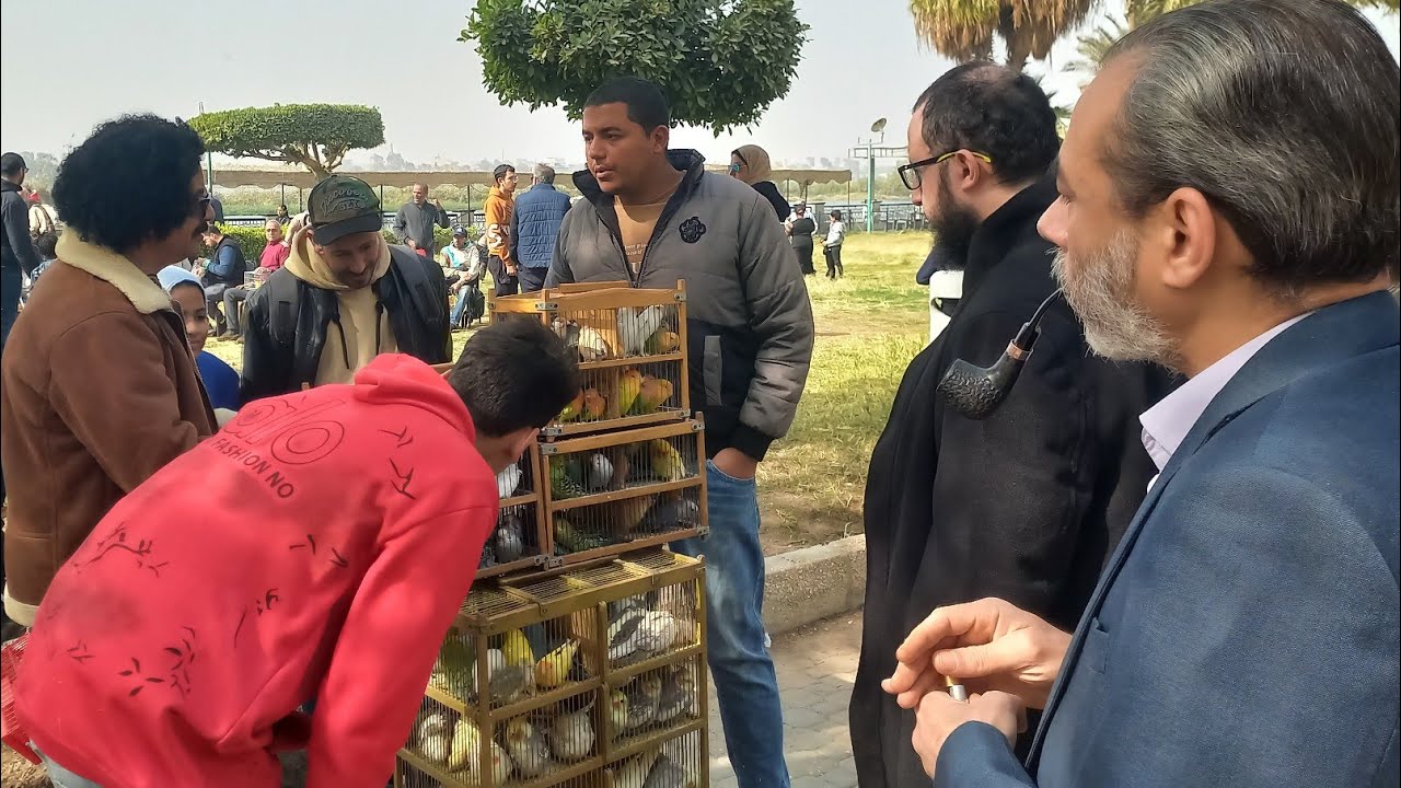 الناس باعت واشترت عصافير ايه وبكام⁉️وأسعار العصافير بأرقام اصحابها👌مباشر من داخل مهرجان طيور الزينة💚