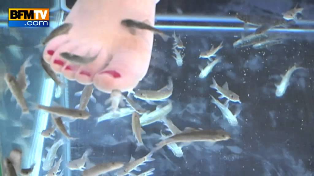 La fish pédicure