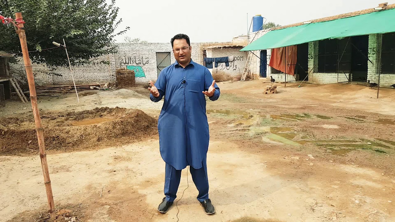ASEELS SETUP | PALAY KHAN ASEELS | INCUBATOR & EGGS ORDER DELIVERY OF MR. LUQMAN | WTSP 0314-9000032