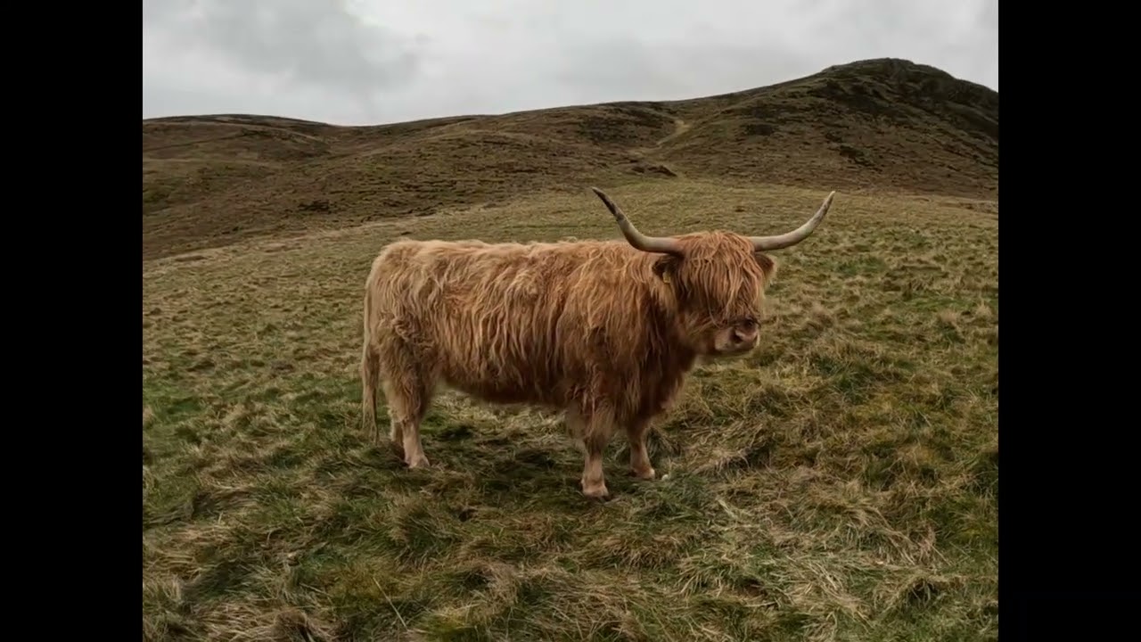 Swanston Farm Edinburgh UK