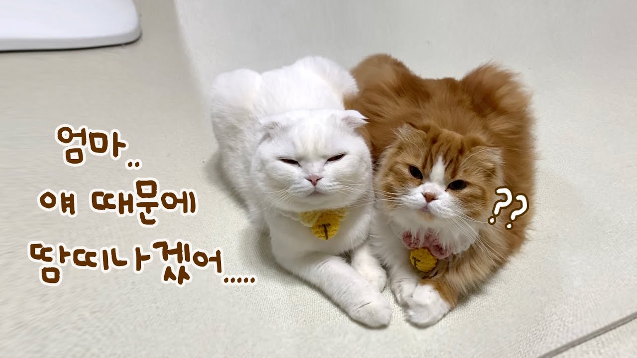 엄마 좀 살려주라.. 제발 ㅠㅠ